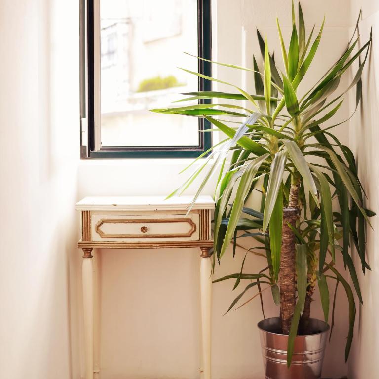 Lisbon Story Guesthouse Eksteriør bilde